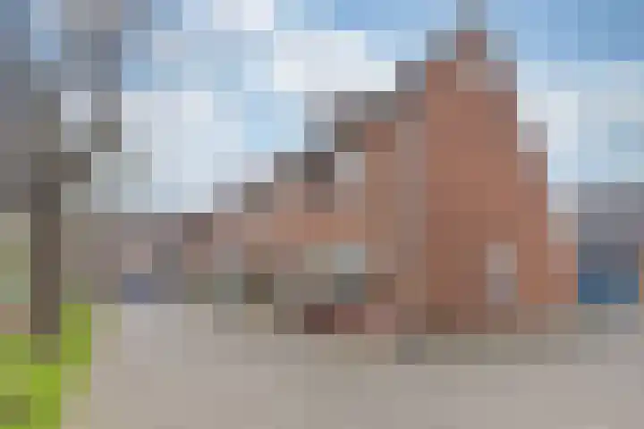 De Laars 2 Enkhuizen thumbnail 4