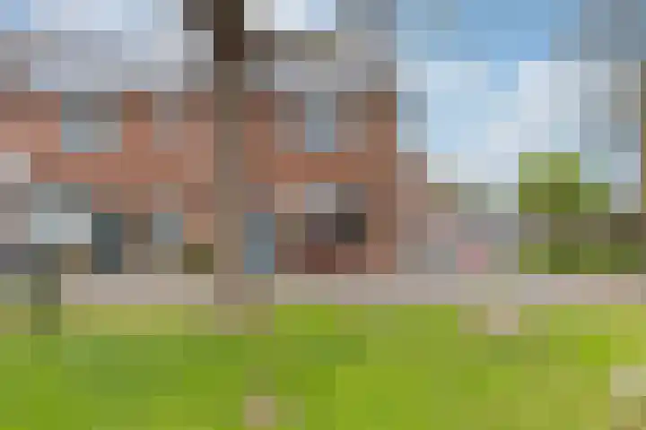 De Laars 2 Enkhuizen thumbnail 5