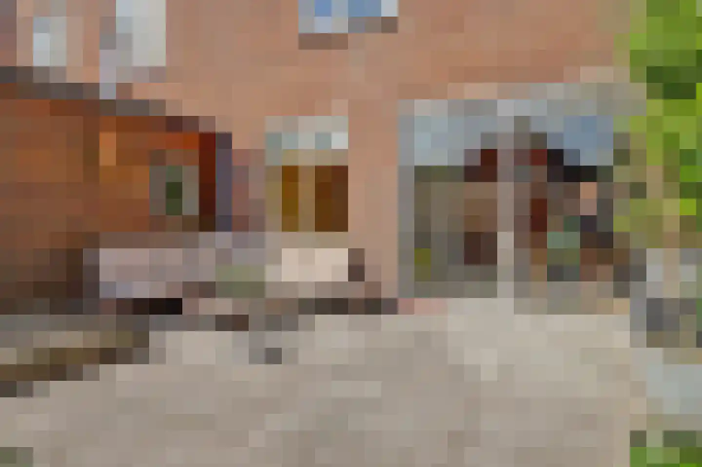 De Laars 30 Enkhuizen thumbnail 15