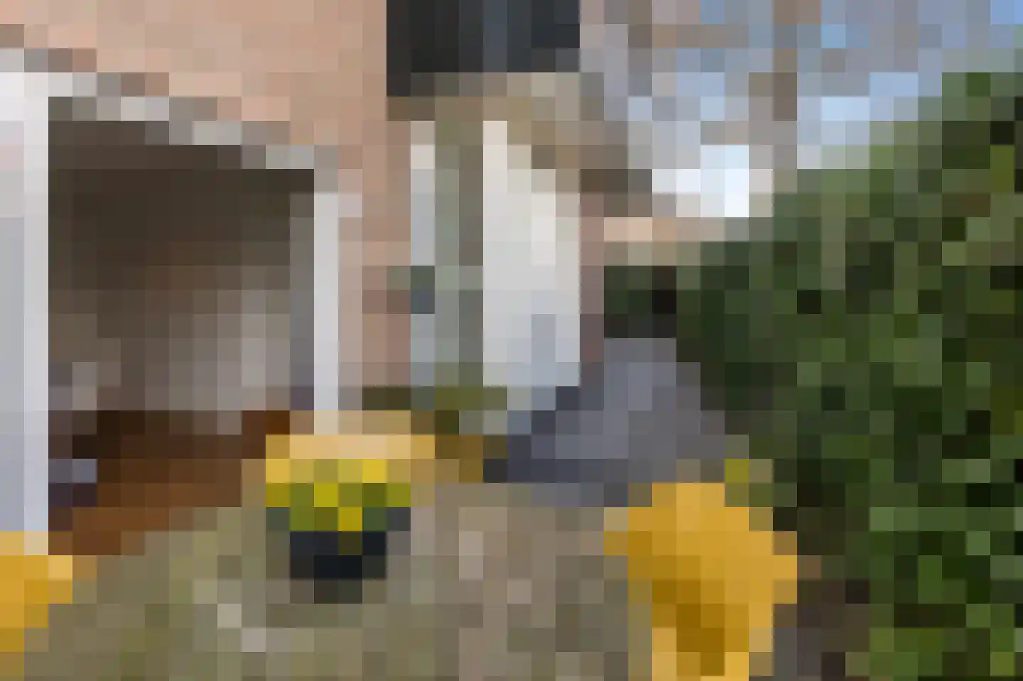 De Laat de Kanterstraat 27 A Leiden thumbnail 30
