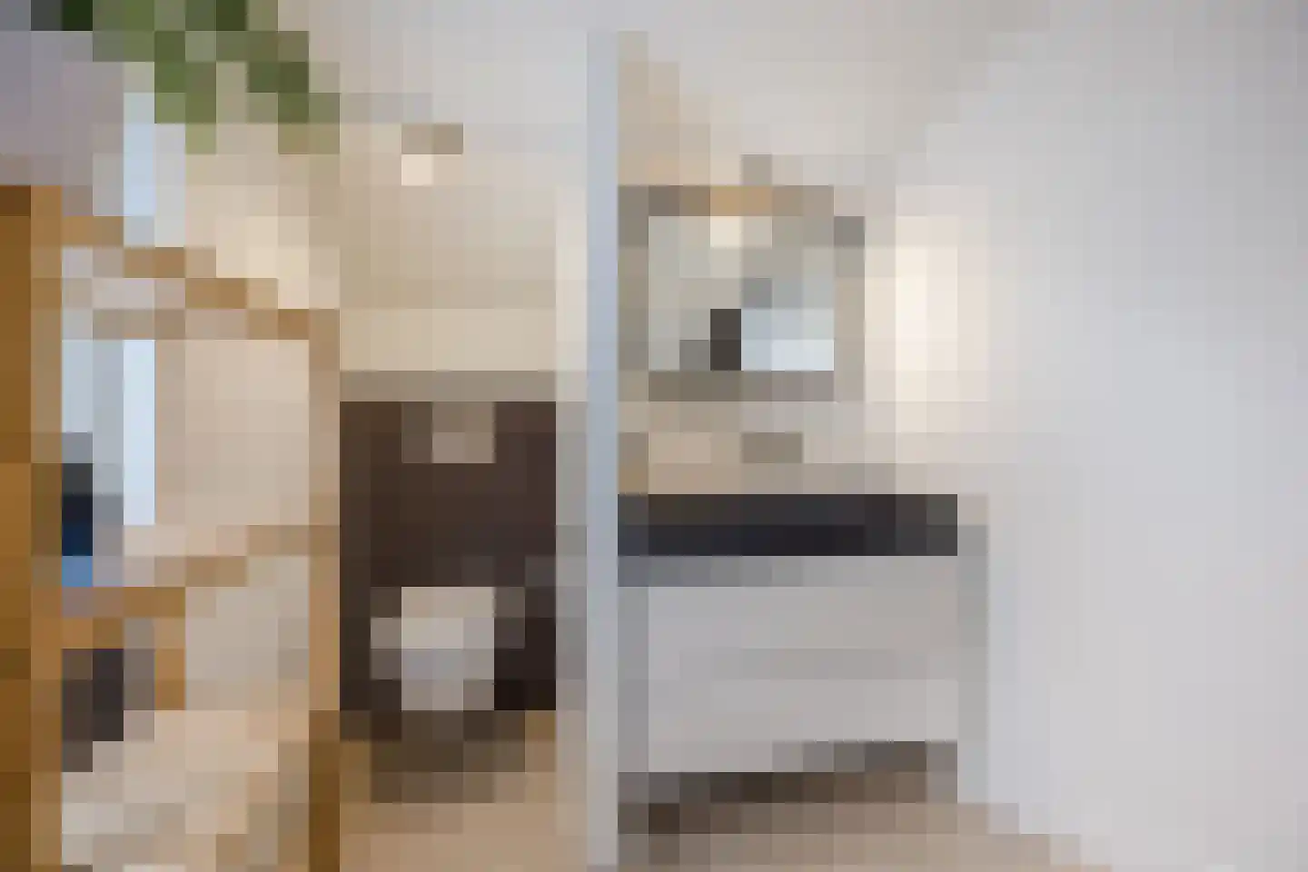 De Laat de Kanterstraat 27 A Leiden thumbnail 43