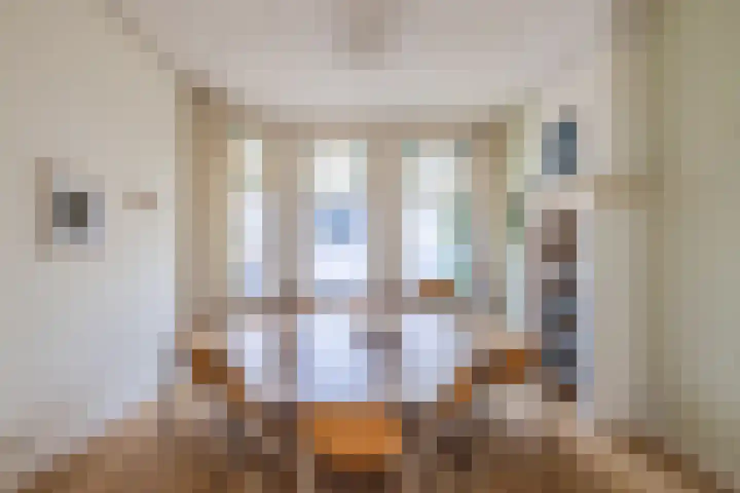De Laat de Kanterstraat 5 Leiden thumbnail 12