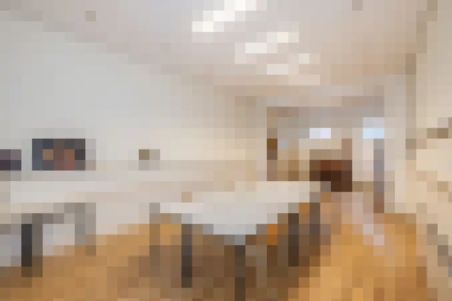 De Laat de Kanterstraat 5 Leiden thumbnail 15