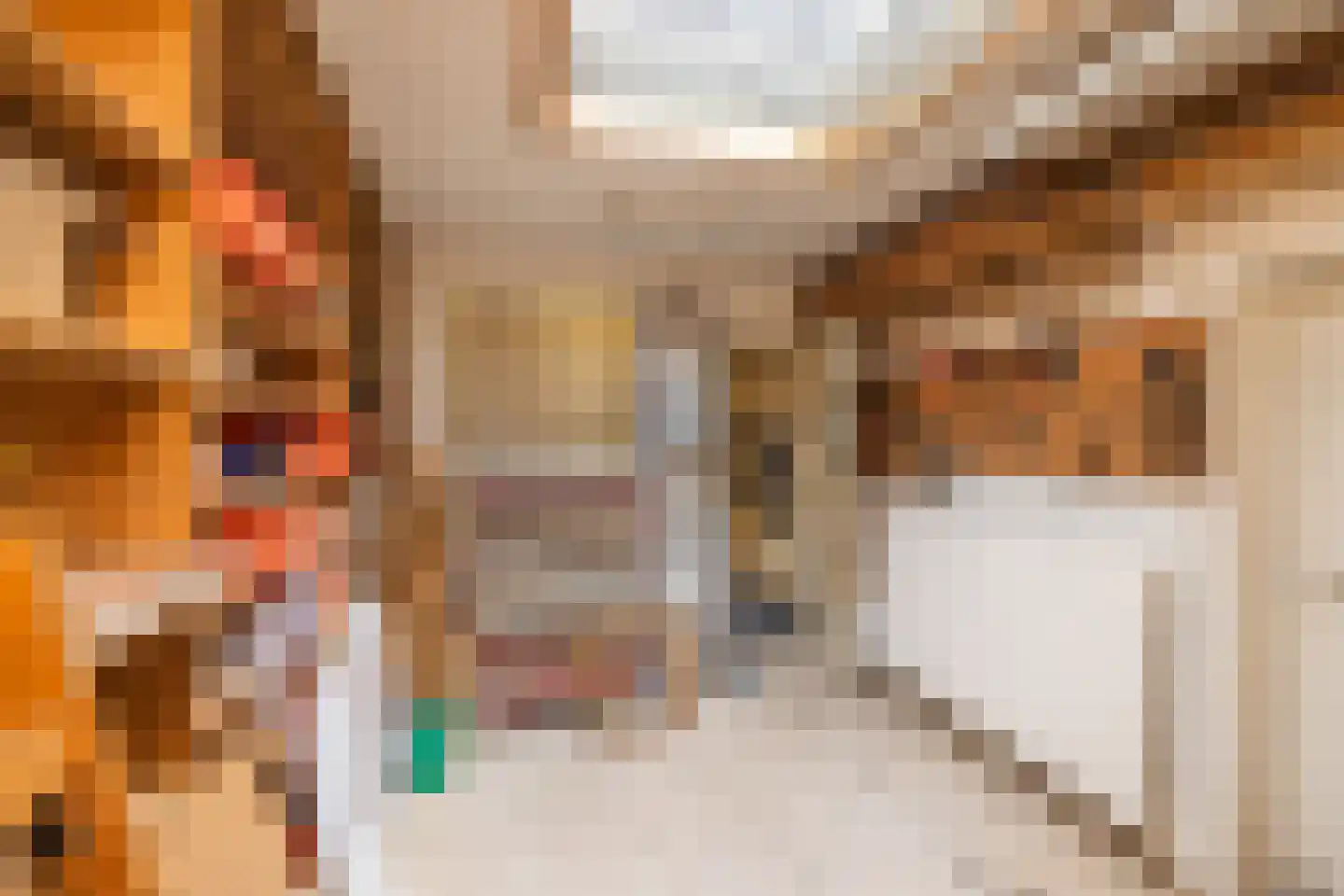 De Laat de Kanterstraat 5 Leiden thumbnail 19