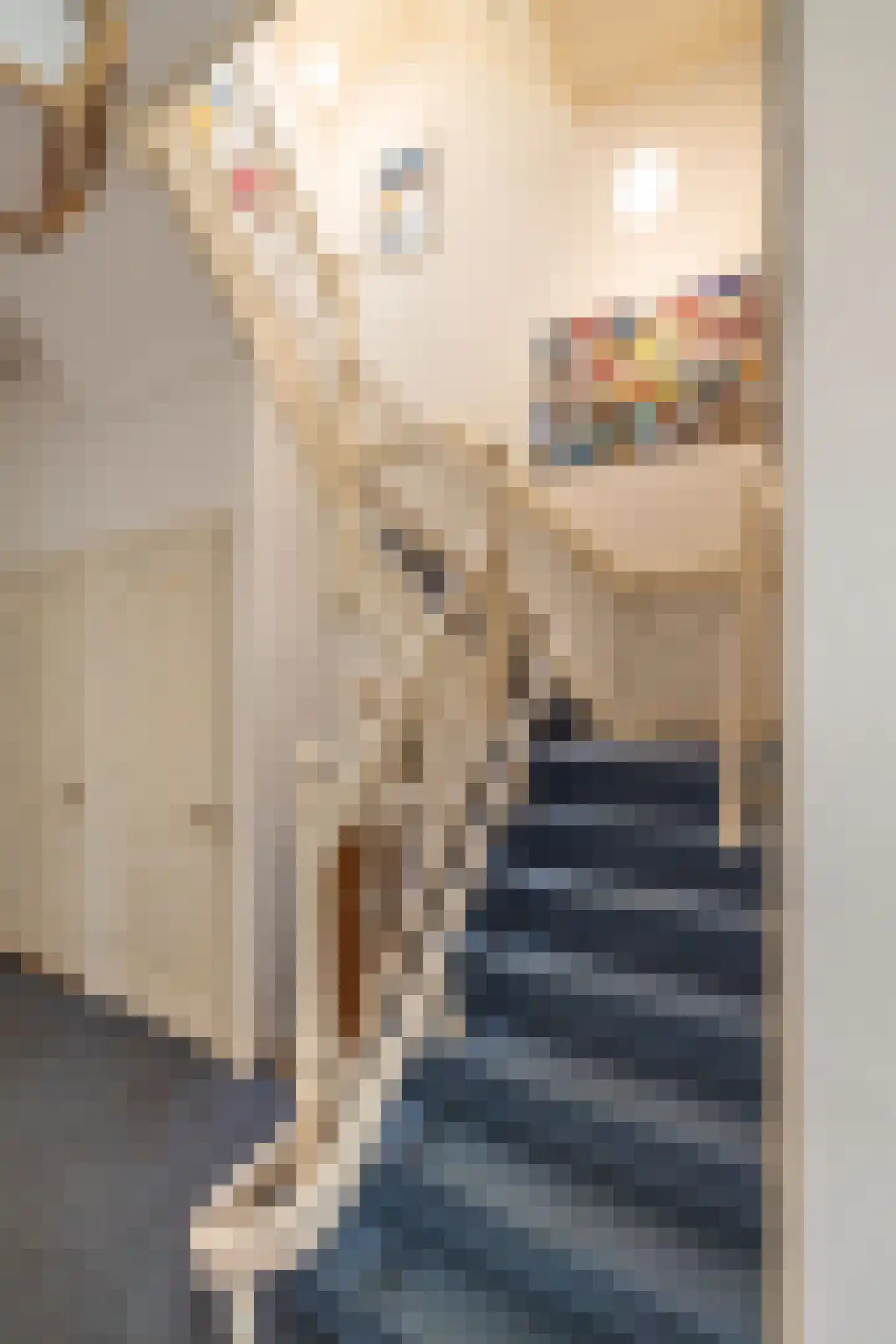 De Laat de Kanterstraat 5 Leiden thumbnail 25