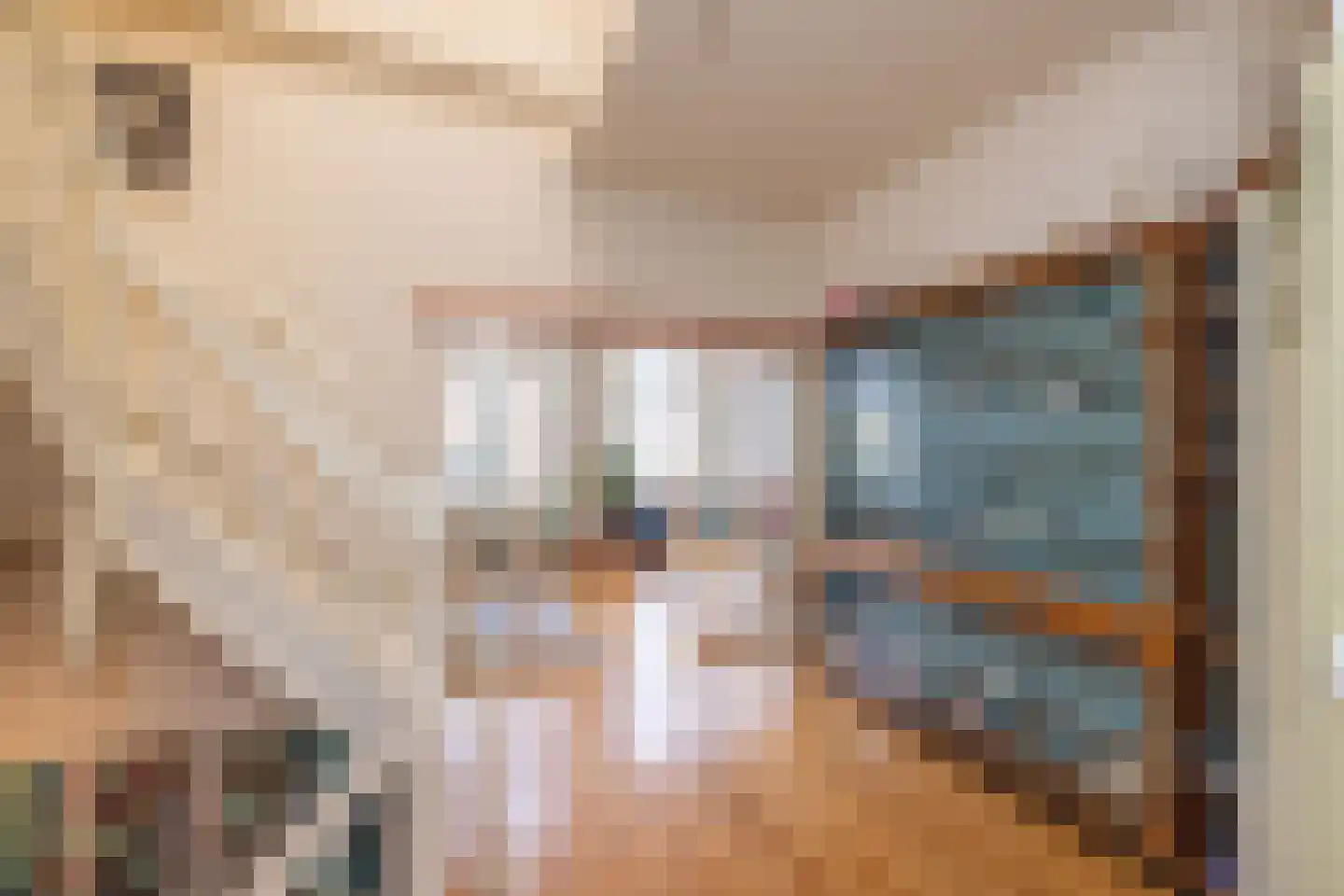 De Laat de Kanterstraat 5 Leiden thumbnail 27