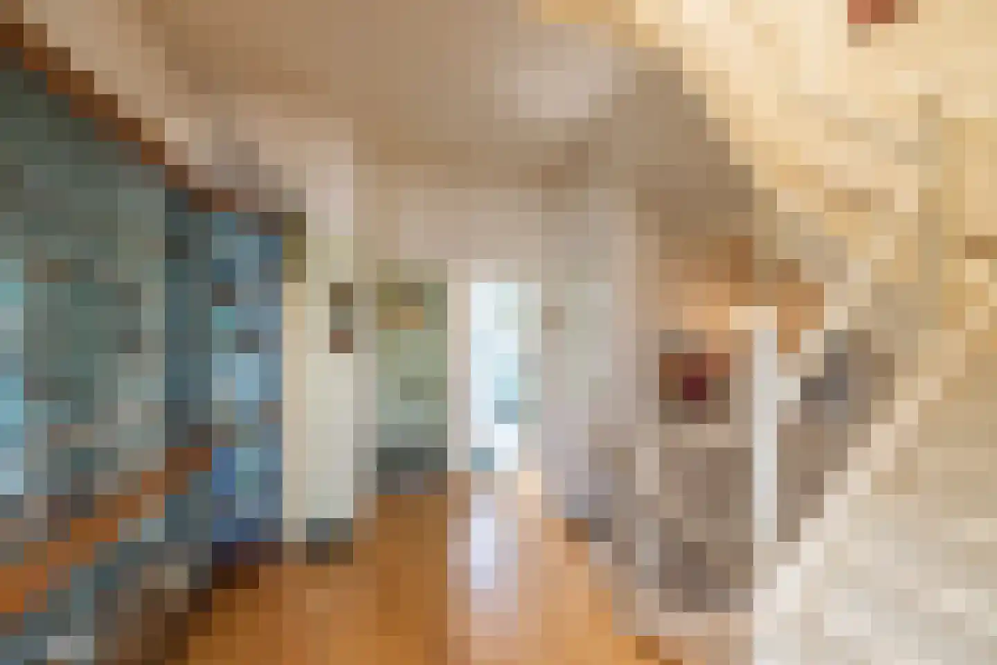 De Laat de Kanterstraat 5 Leiden thumbnail 35