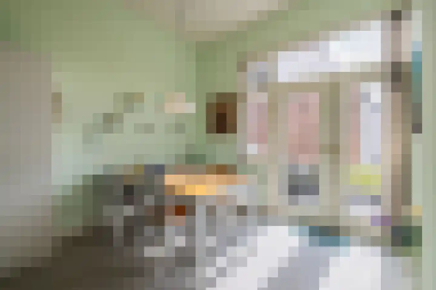 De Laat de Kanterstraat 5 Leiden thumbnail 38