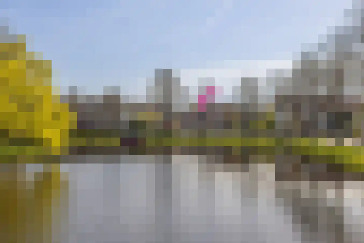 De Laat de Kanterstraat 5 Leiden thumbnail 4