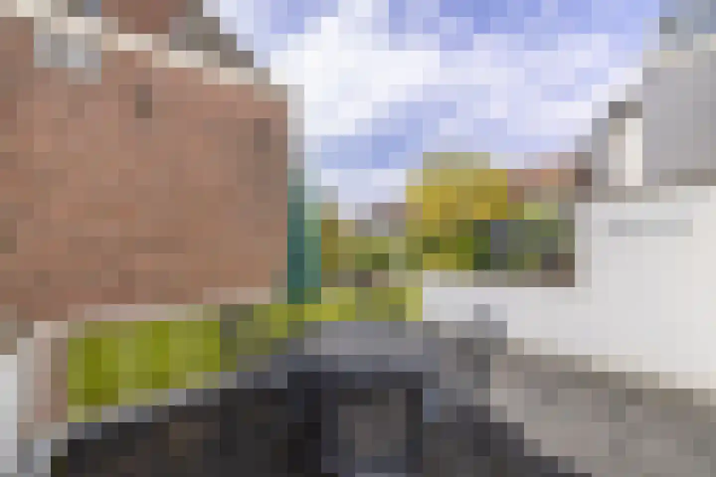 De Laat de Kanterstraat 5 Leiden thumbnail 42