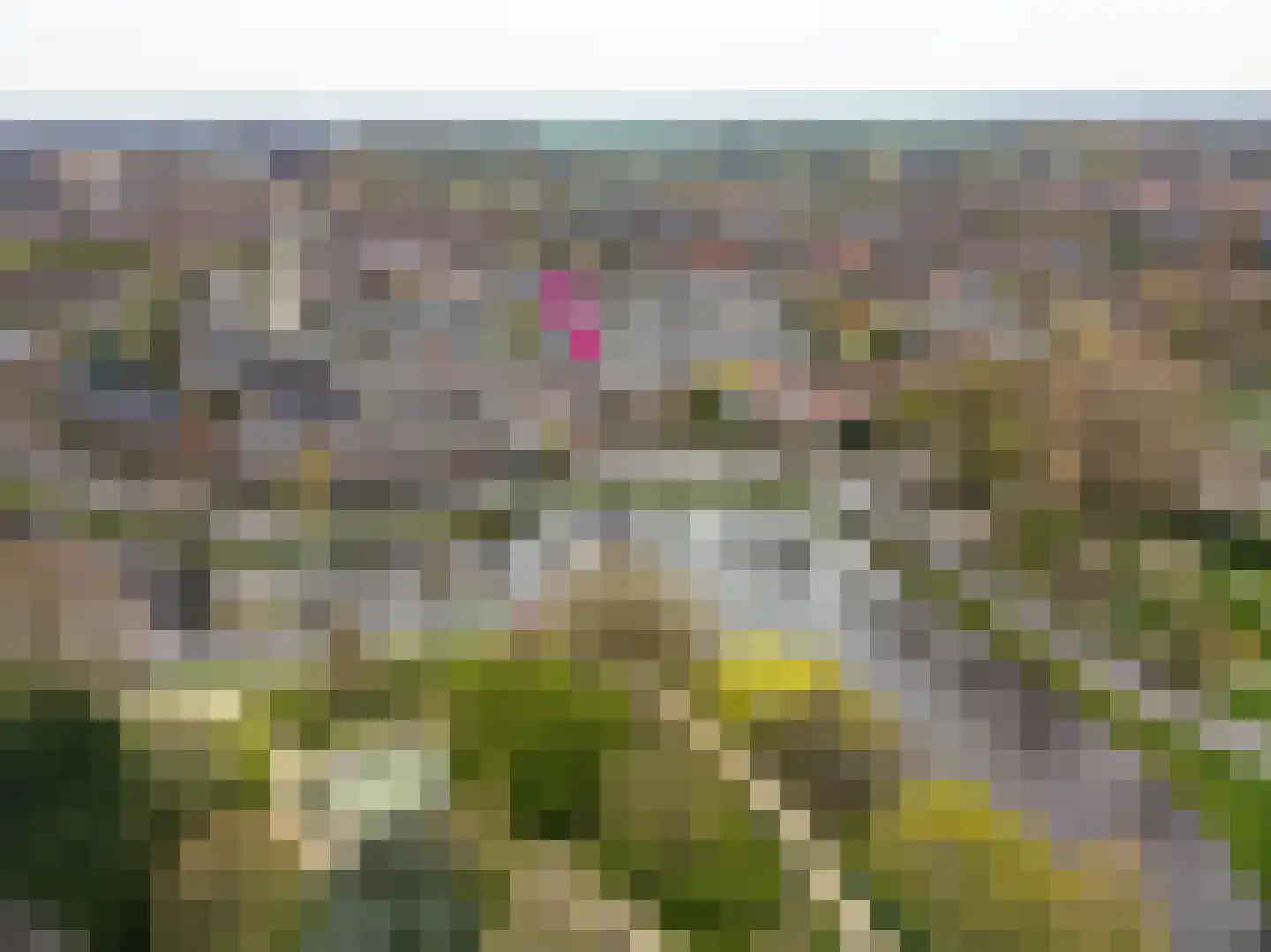 De Laat de Kanterstraat 5 Leiden thumbnail 5