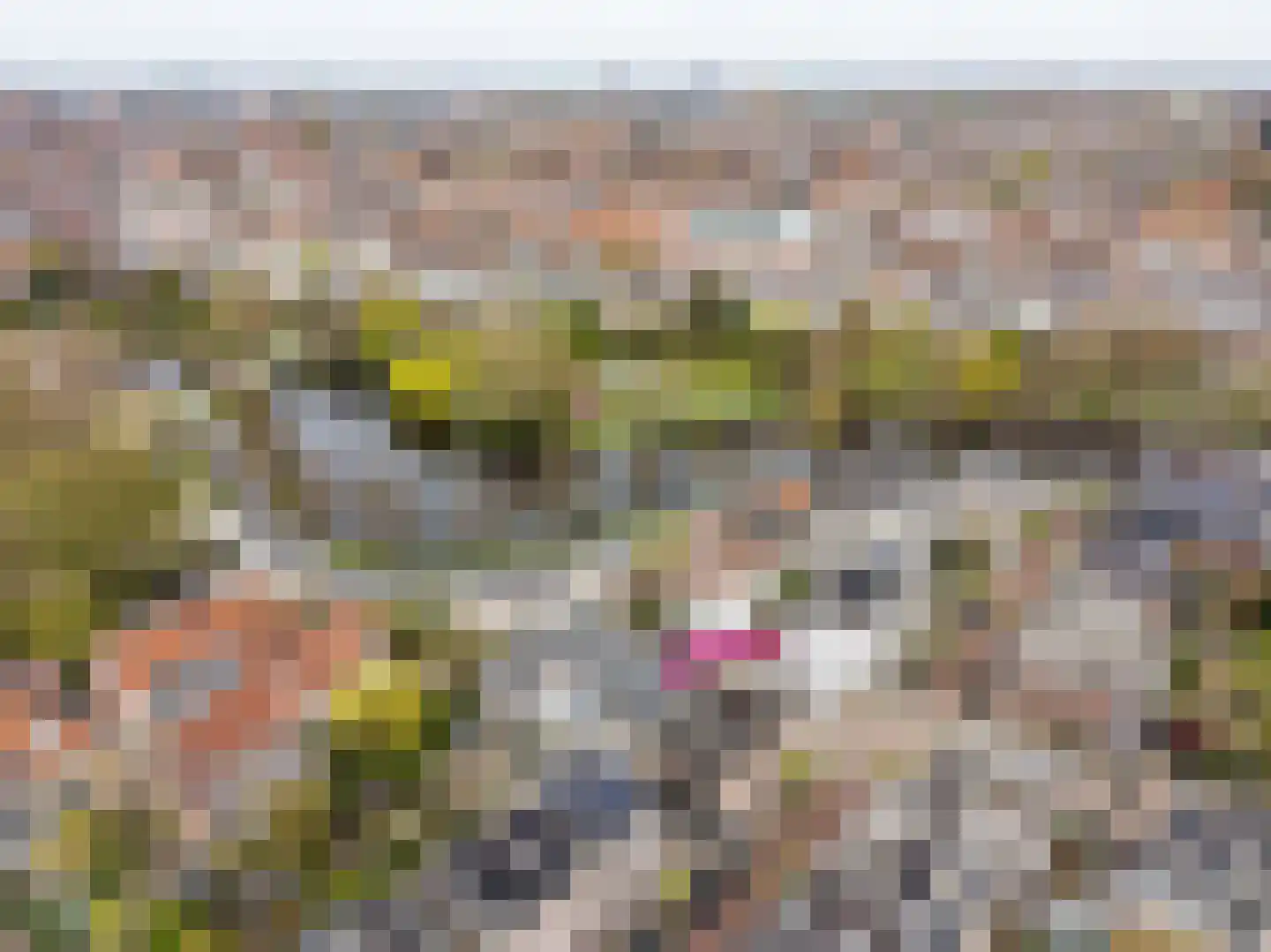 De Laat de Kanterstraat 5 Leiden thumbnail 61
