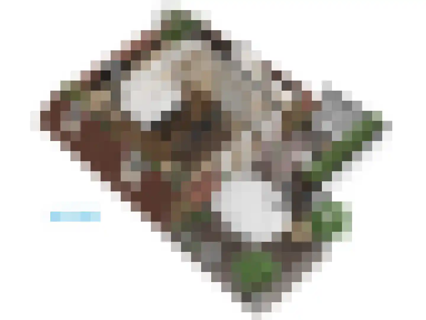 De Laat de Kanterstraat 5 Leiden thumbnail 88