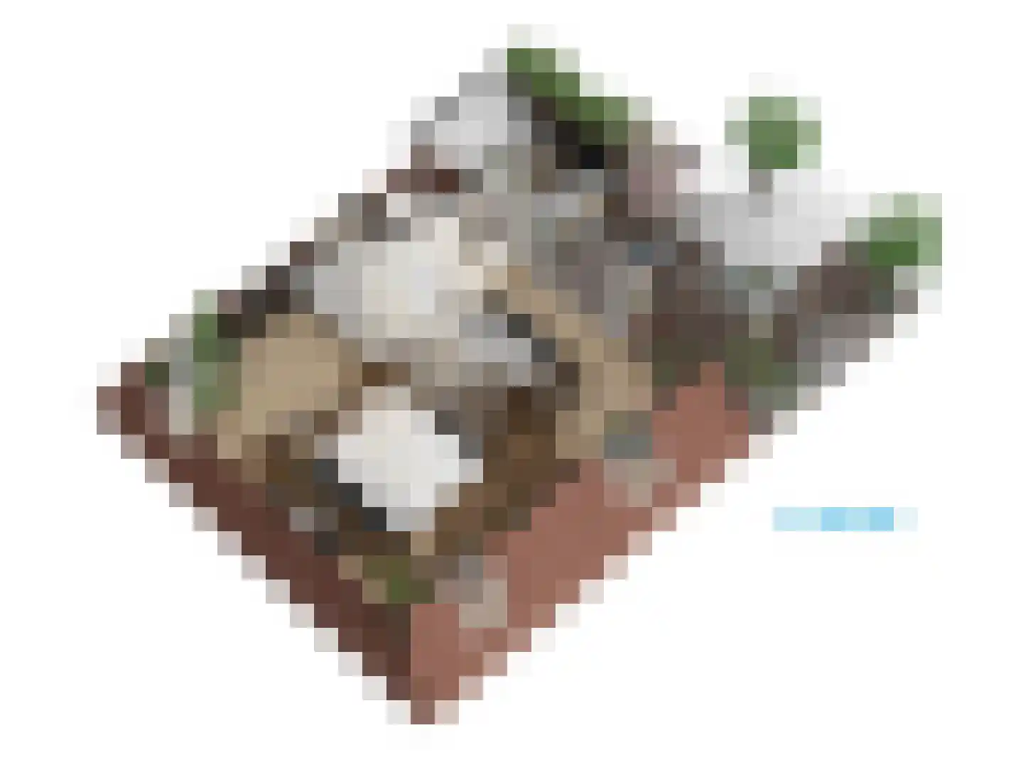 De Laat de Kanterstraat 5 Leiden thumbnail 89