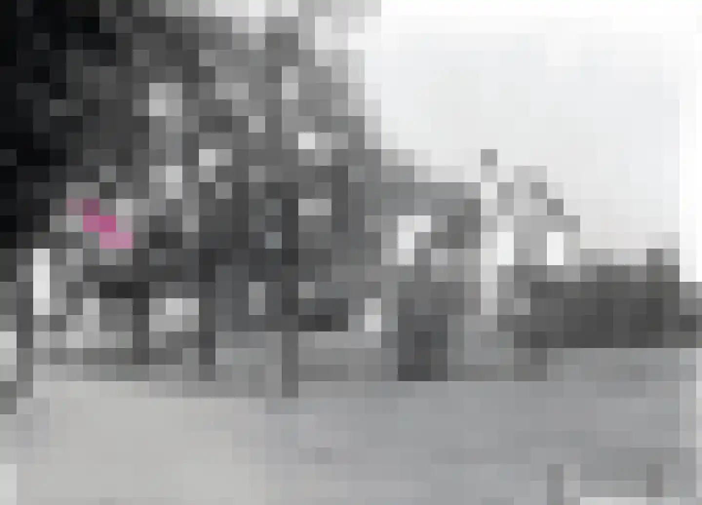 De Laat de Kanterstraat 5 Leiden thumbnail 94