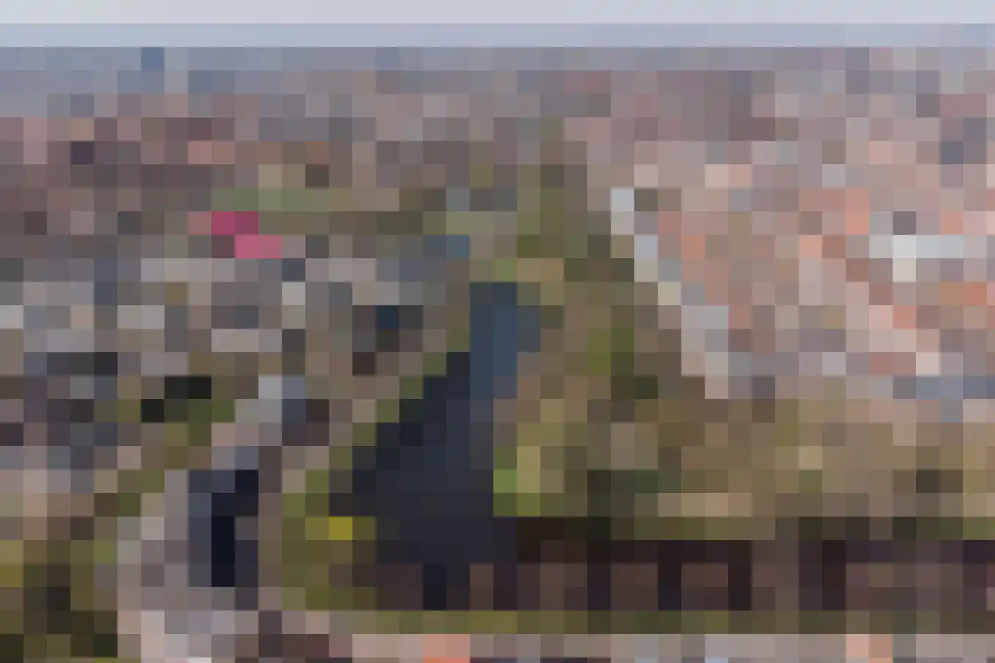 De Laat de Kanterstraat 5 Leiden thumbnail 99