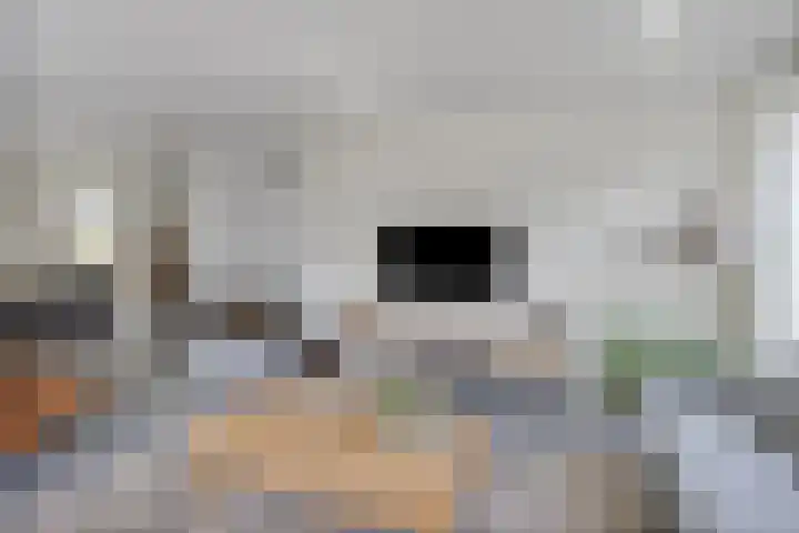 De Laathof 1 Sint Geertruid thumbnail 10
