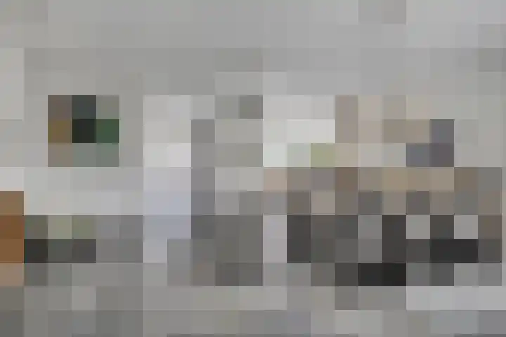 De Laathof 1 Sint Geertruid thumbnail 13