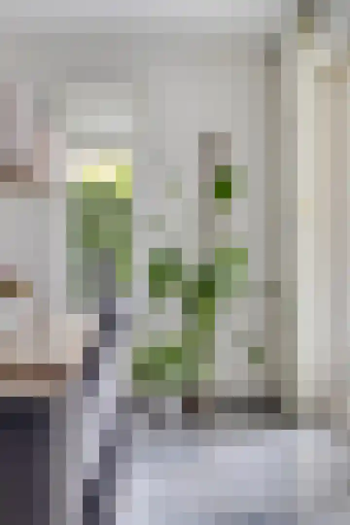 De Laathof 1 Sint Geertruid thumbnail 14