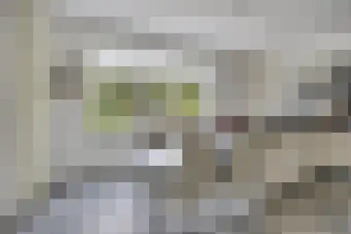 De Laathof 1 Sint Geertruid thumbnail 16