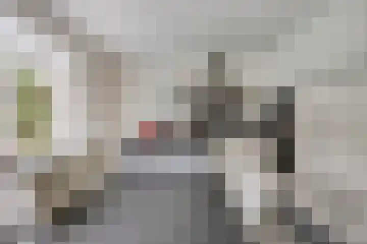 De Laathof 1 Sint Geertruid thumbnail 17
