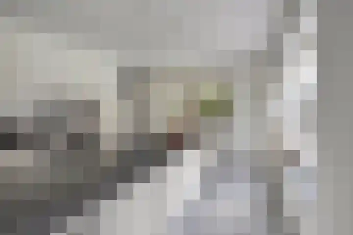 De Laathof 1 Sint Geertruid thumbnail 18