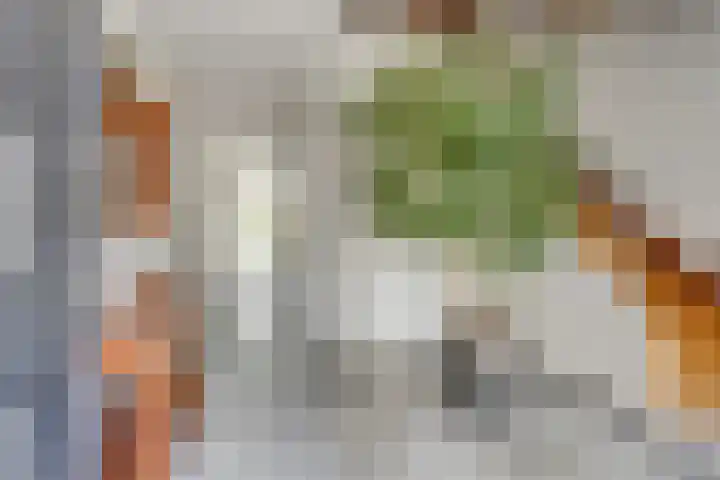 De Laathof 1 Sint Geertruid foto 2
