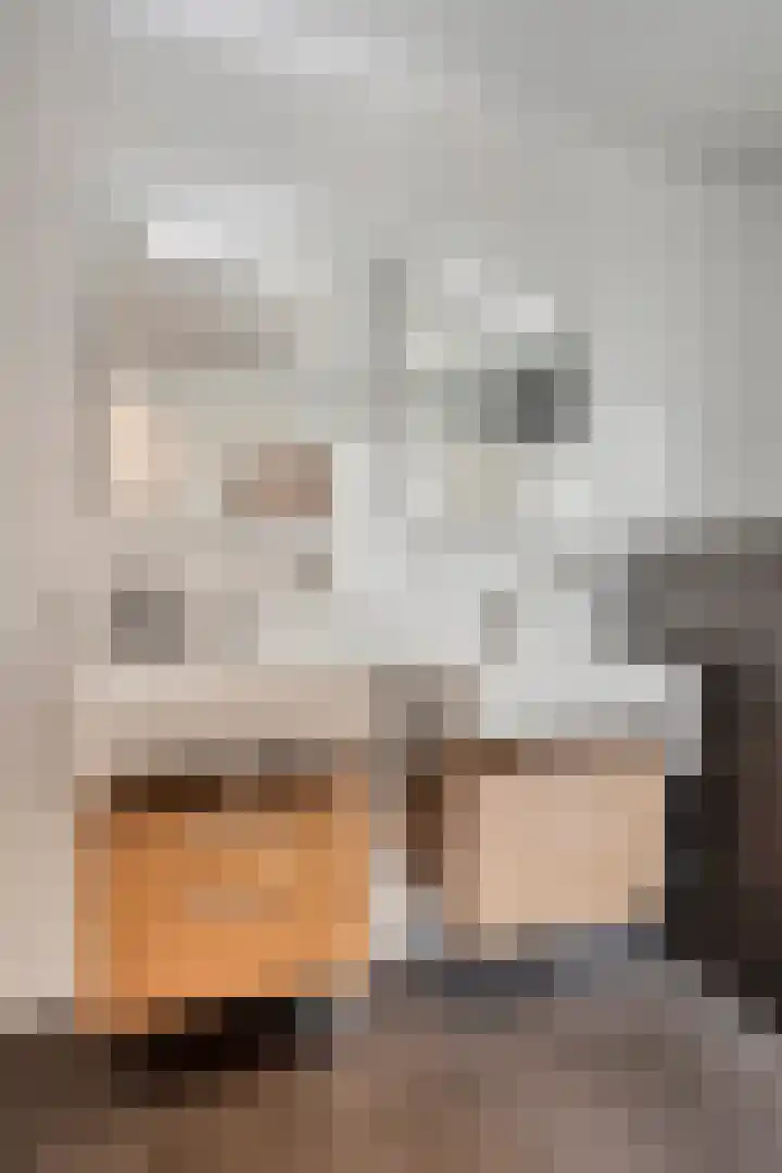 De Laathof 1 Sint Geertruid thumbnail 23
