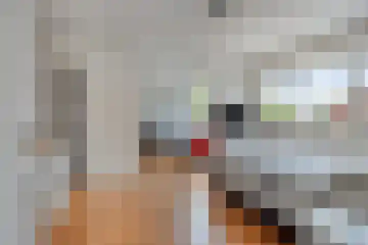 De Laathof 1 Sint Geertruid thumbnail 25