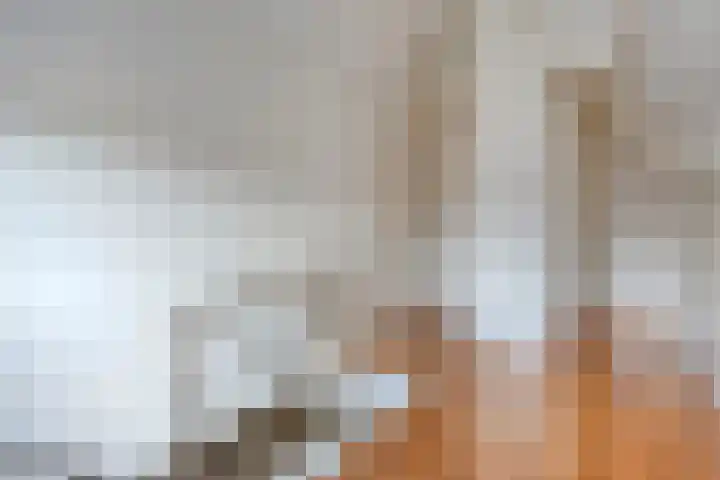 De Laathof 1 Sint Geertruid thumbnail 28