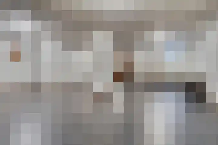 De Laathof 1 Sint Geertruid thumbnail 34
