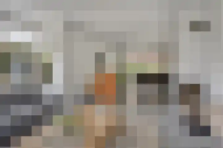 De Laathof 1 Sint Geertruid thumbnail 4