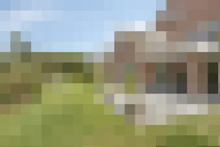 De Laathof 1 Sint Geertruid thumbnail 41
