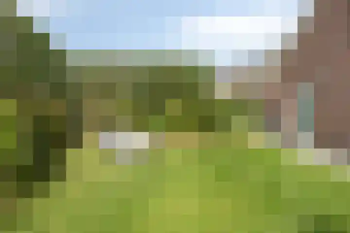 De Laathof 1 Sint Geertruid thumbnail 42