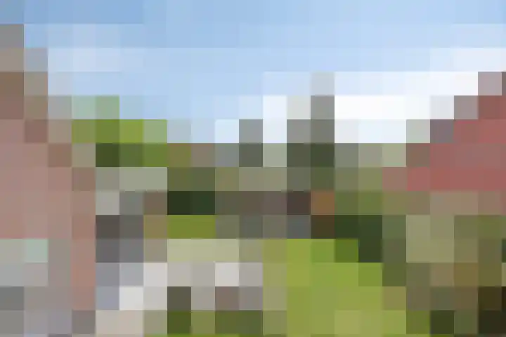 De Laathof 1 Sint Geertruid thumbnail 43