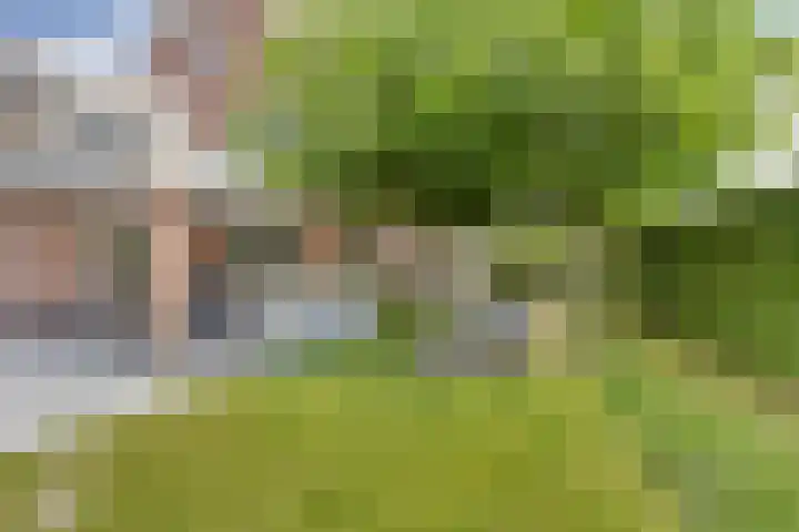 De Laathof 1 Sint Geertruid thumbnail 45