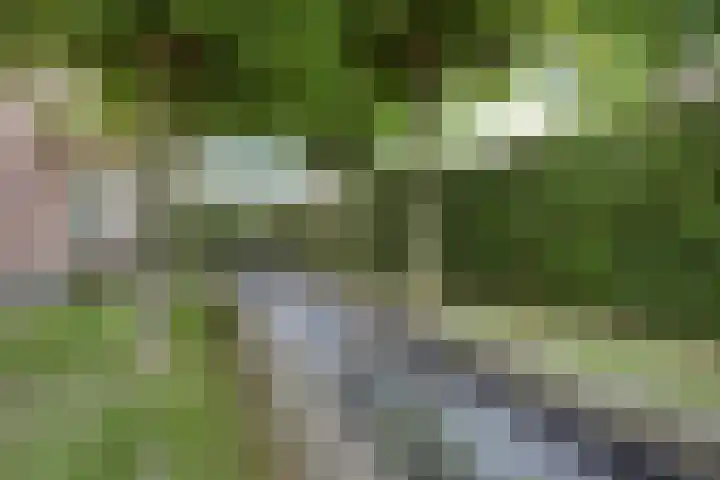 De Laathof 1 Sint Geertruid thumbnail 46
