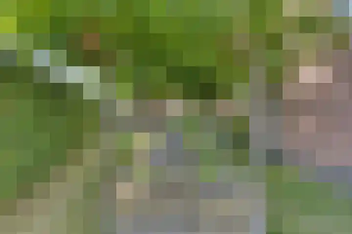 De Laathof 1 Sint Geertruid thumbnail 47