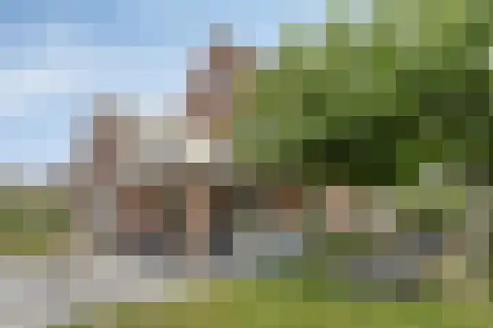 De Laathof 1 Sint Geertruid thumbnail 48