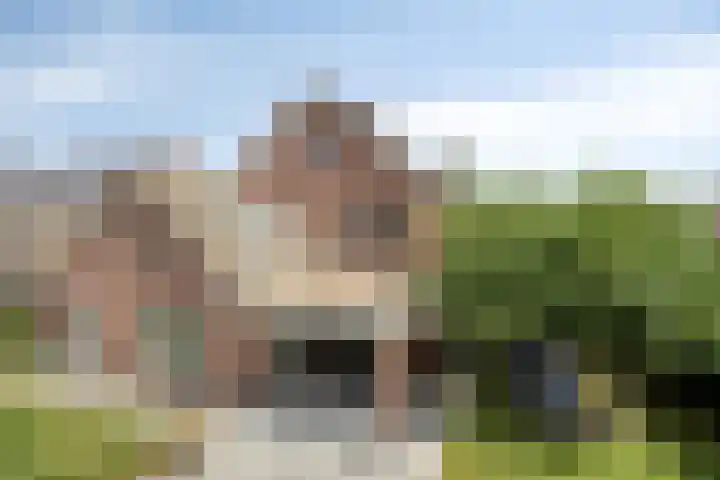 De Laathof 1 Sint Geertruid thumbnail 5