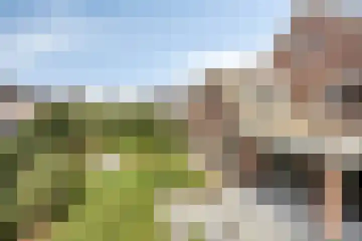 De Laathof 1 Sint Geertruid thumbnail 50