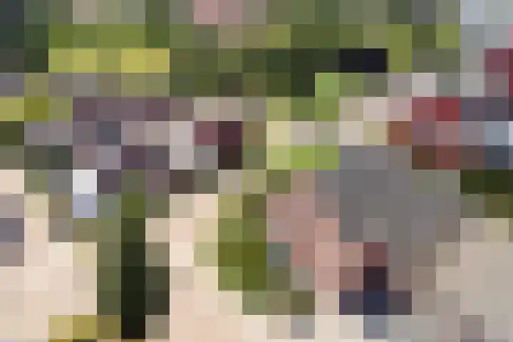De Laathof 1 Sint Geertruid thumbnail 51
