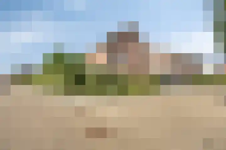 De Laathof 1 Sint Geertruid thumbnail 54