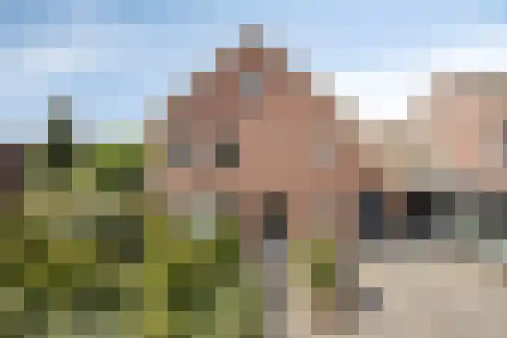 De Laathof 1 Sint Geertruid thumbnail 57