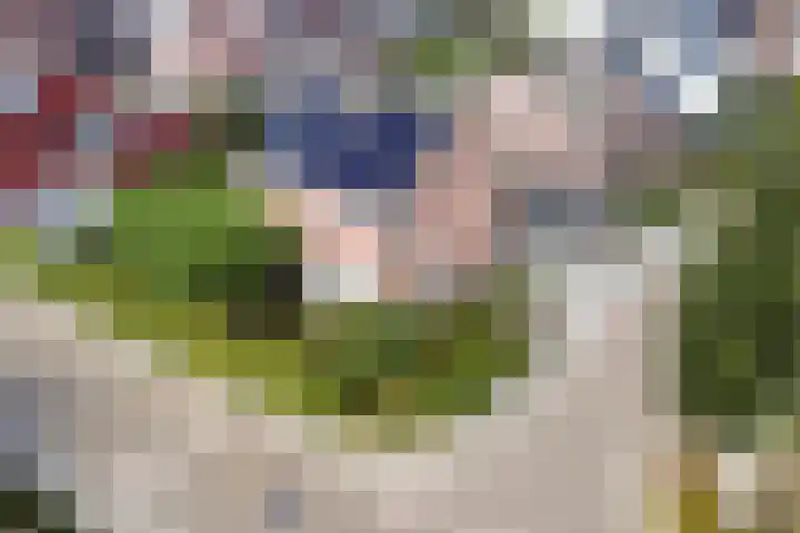 De Laathof 1 Sint Geertruid thumbnail 58