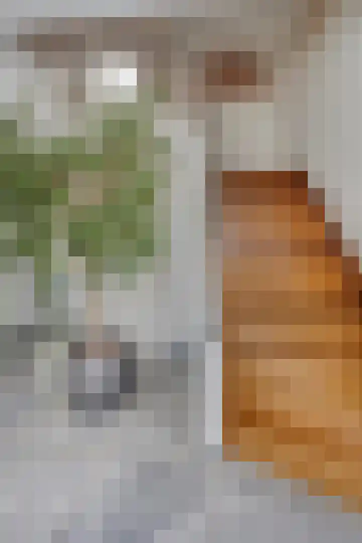 De Laathof 1 Sint Geertruid thumbnail 6