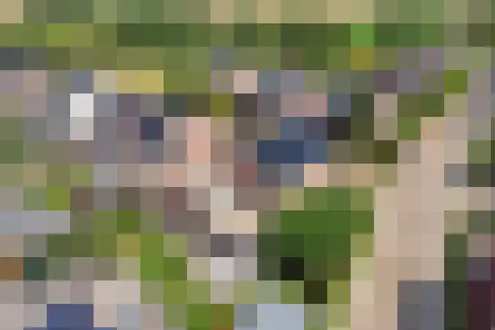 De Laathof 1 Sint Geertruid thumbnail 60