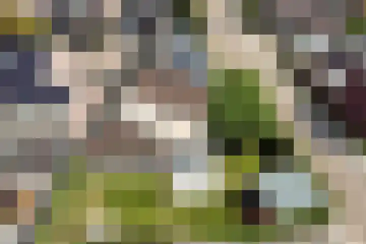 De Laathof 1 Sint Geertruid thumbnail 61