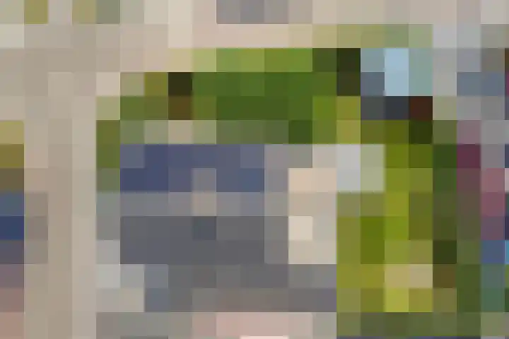 De Laathof 1 Sint Geertruid thumbnail 62