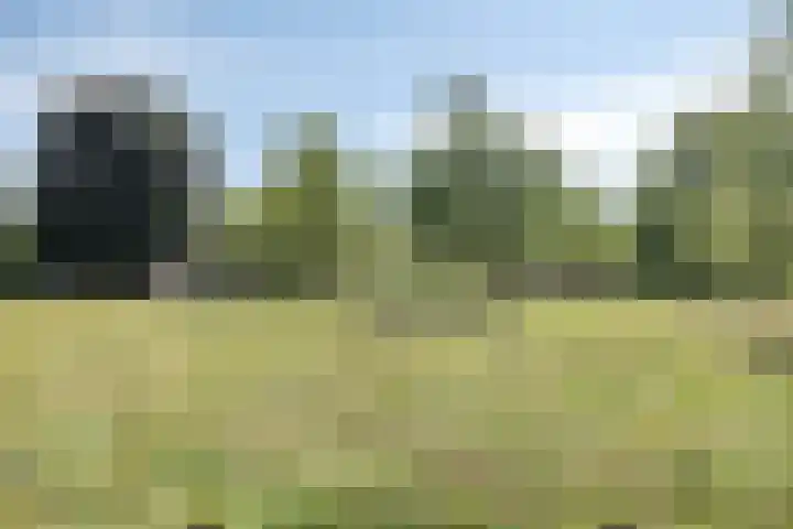 De Laathof 1 Sint Geertruid thumbnail 63